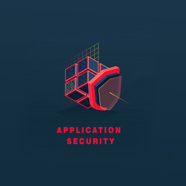 software-development-application-security